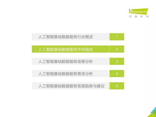 中國人工智能基礎(chǔ)數(shù)據(jù)服務(wù)行業(yè)報告——聚焦人工智能基礎(chǔ)軟件開發(fā)